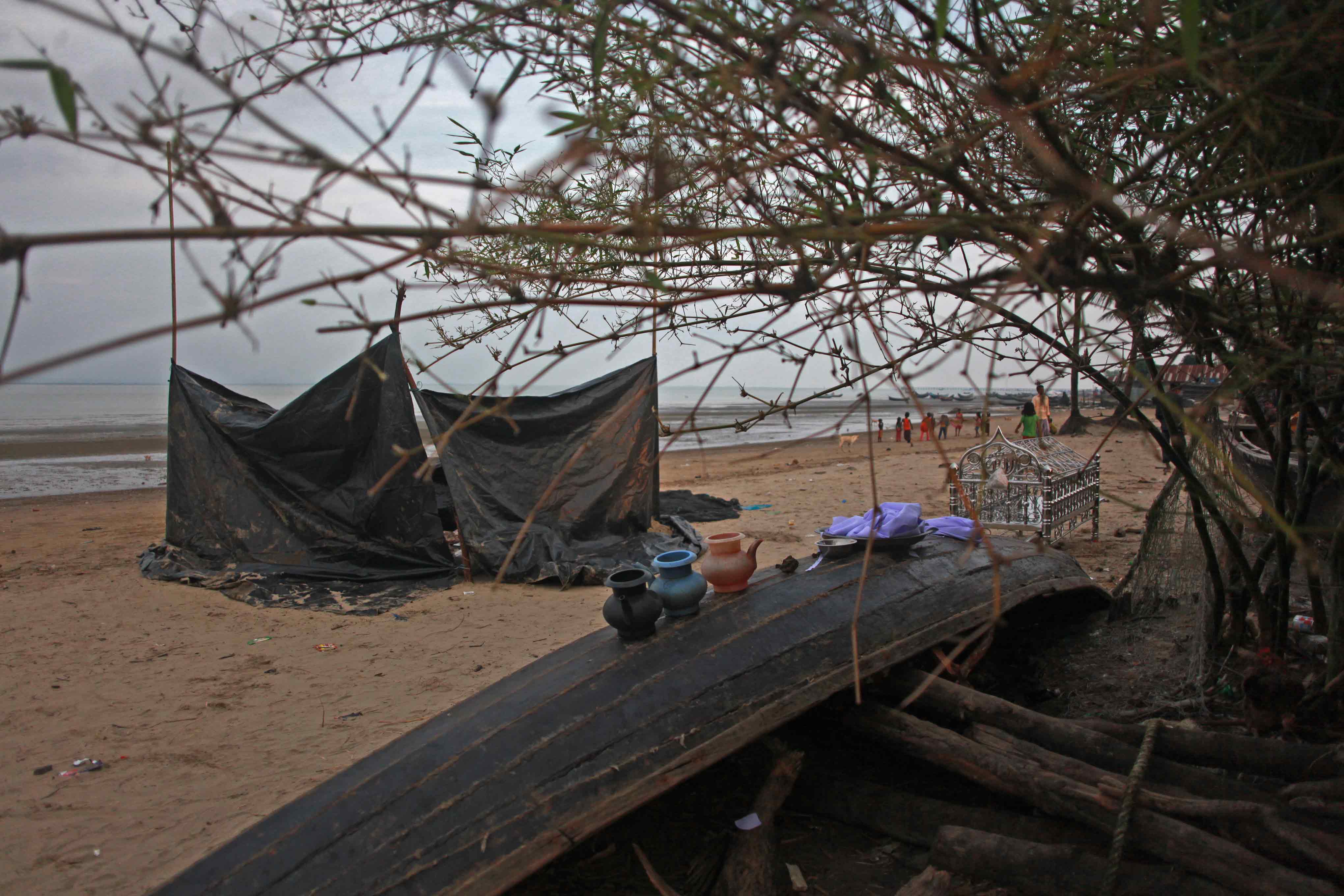 Rohingya Chronicles